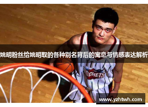 姚明粉丝给姚明取的各种别名背后的寓意与情感表达解析