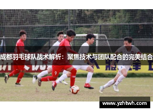成都羽毛球队战术解析：聚焦技术与团队配合的完美结合