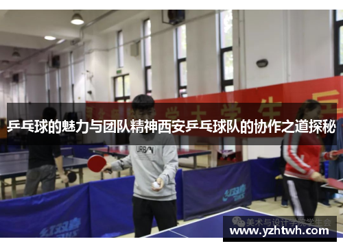 乒乓球的魅力与团队精神西安乒乓球队的协作之道探秘