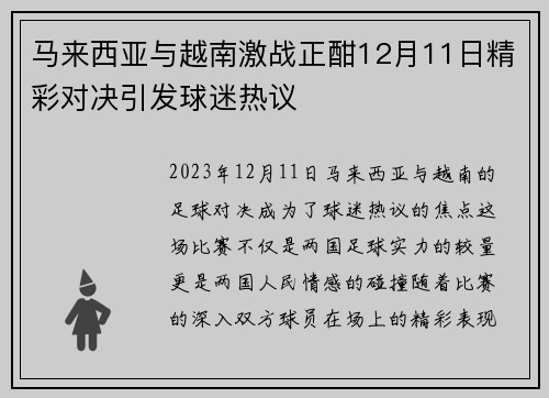 马来西亚与越南激战正酣12月11日精彩对决引发球迷热议